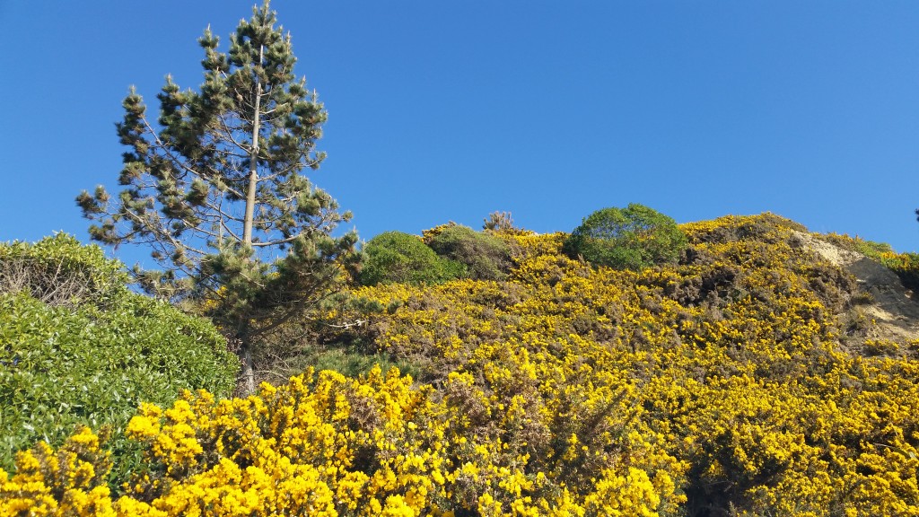 And it is everywhere. 