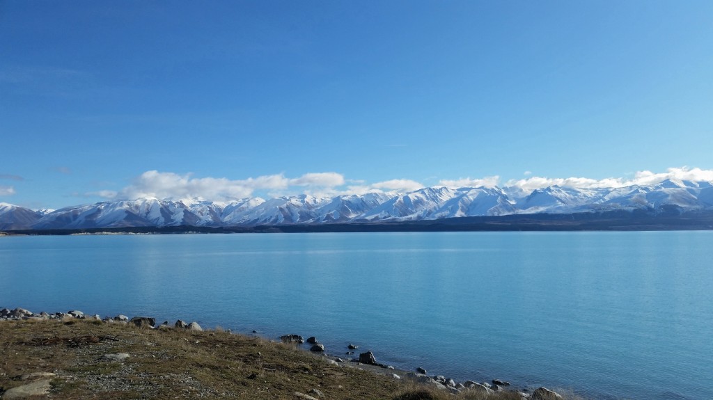 Lakes&MtCook (18)
