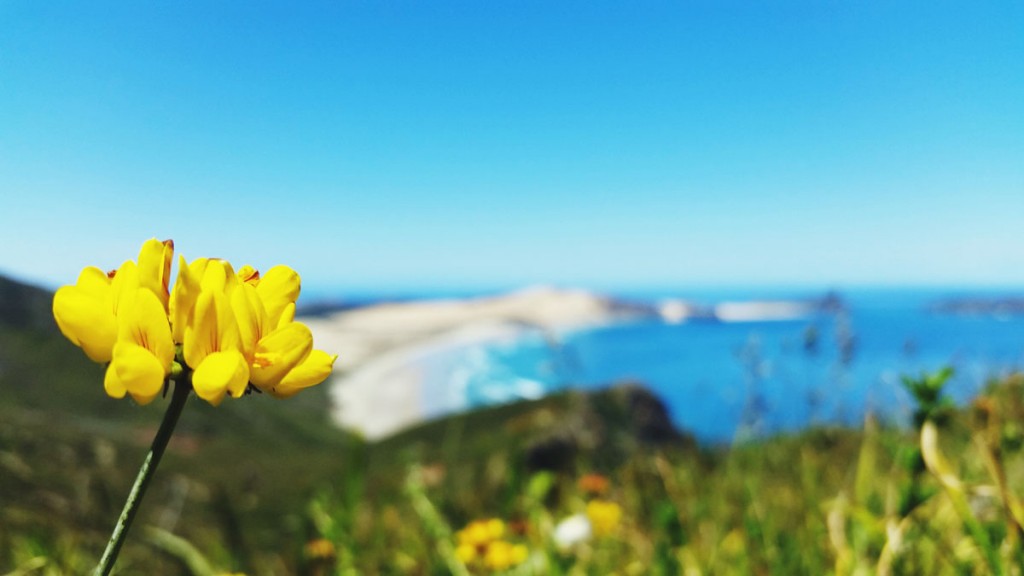 eyeemfiltered1417656201464