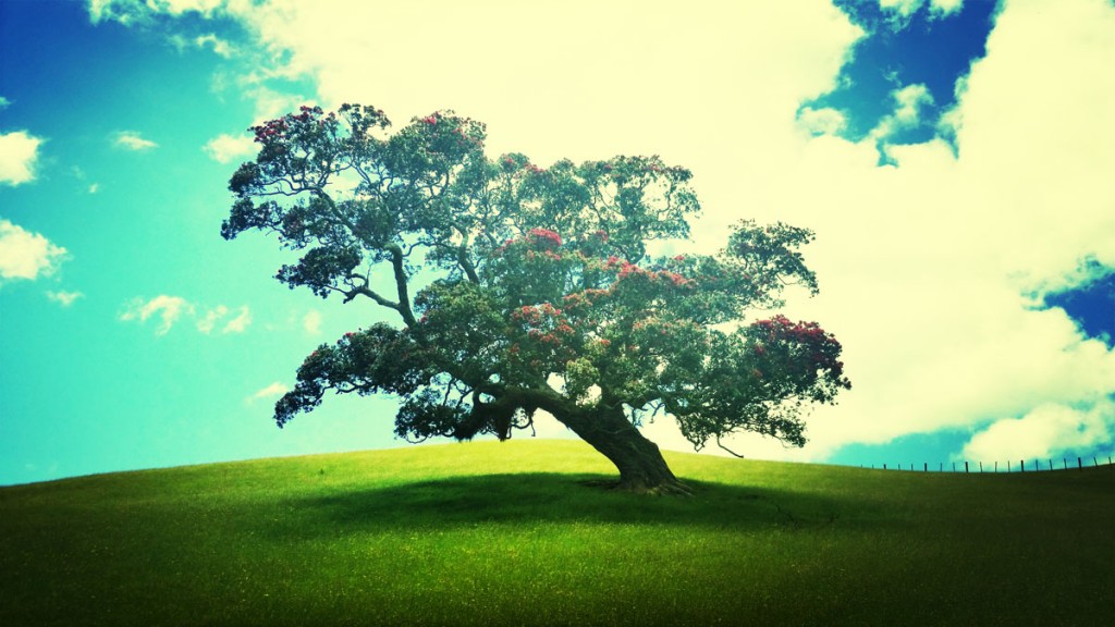 eyeemfiltered1419129178756