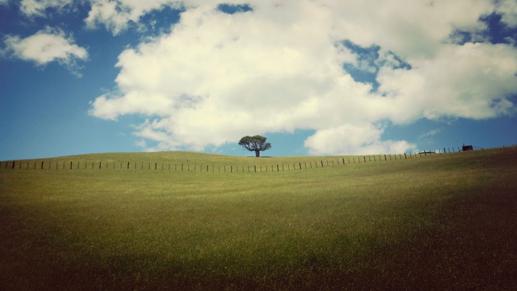 eyeemfiltered1419143602267