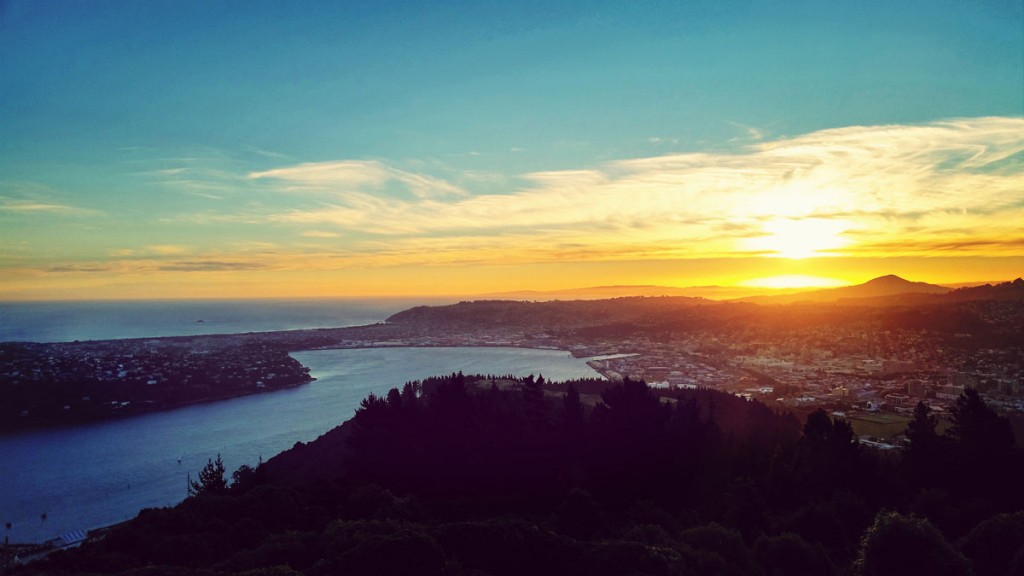 Dunedin (16)