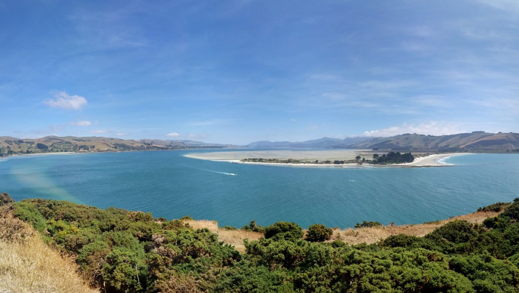 Dunedin (8)